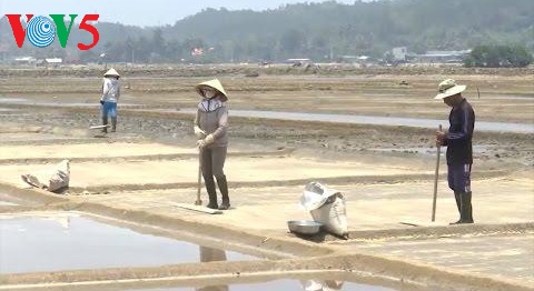 Desa pegaraman Sa Huynh, propinsi Quang Ngai